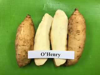 o'henry sweet potato