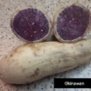 Okinawan